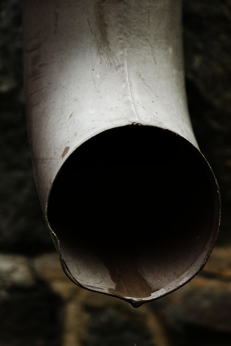 Rain Gutter Planters